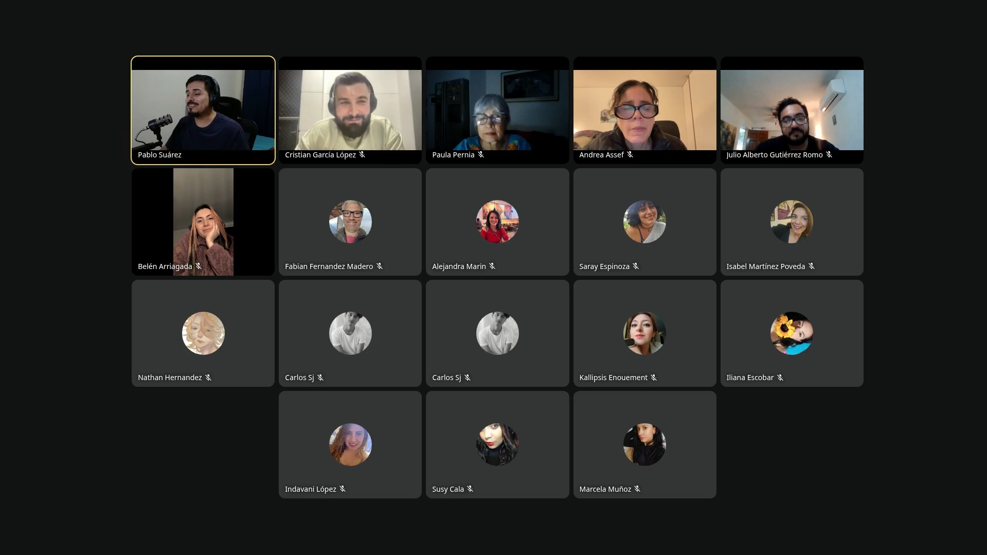 Un encuentro de Escribir y Sentir: Pablo y miembros de la comunidad reunidos en una videollamada.